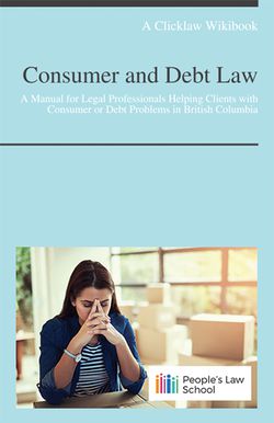 Cover of Consumer and Debt Law