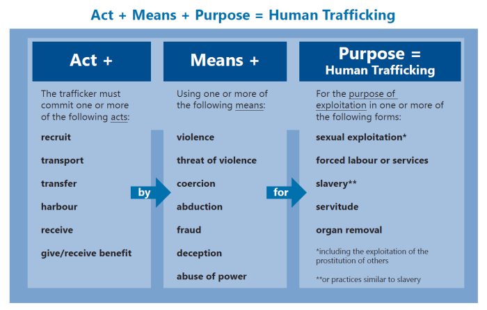 Trafficking graphic 3.JPG